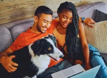 young couple sitting with their Border Collie in their living room at home and using a laptop.