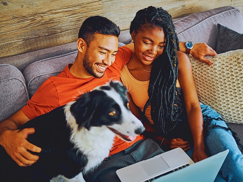 young couple sitting with their Border Collie in their living room at home and using a laptop.