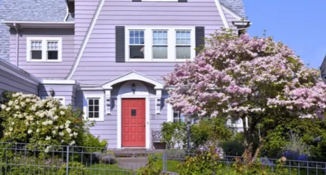 A purple airbnb house with a red door and a lilac bush on a slight hill.