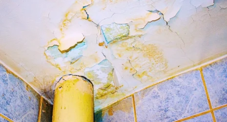 Water damaged ceiling with peeling paint near a pipe junction. responsible for a dangerous condition