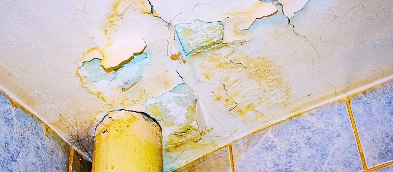 Water damaged ceiling with peeling paint near a pipe junction. responsible for a dangerous condition