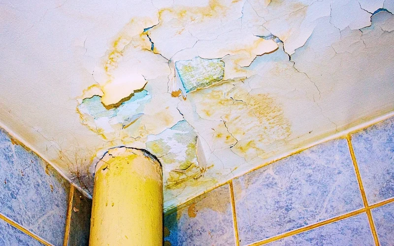 Water damaged ceiling with peeling paint near a pipe junction. responsible for a dangerous condition