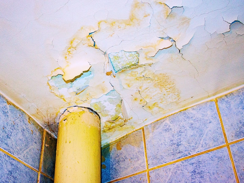 Water damaged ceiling with peeling paint near a pipe junction. responsible for a dangerous condition